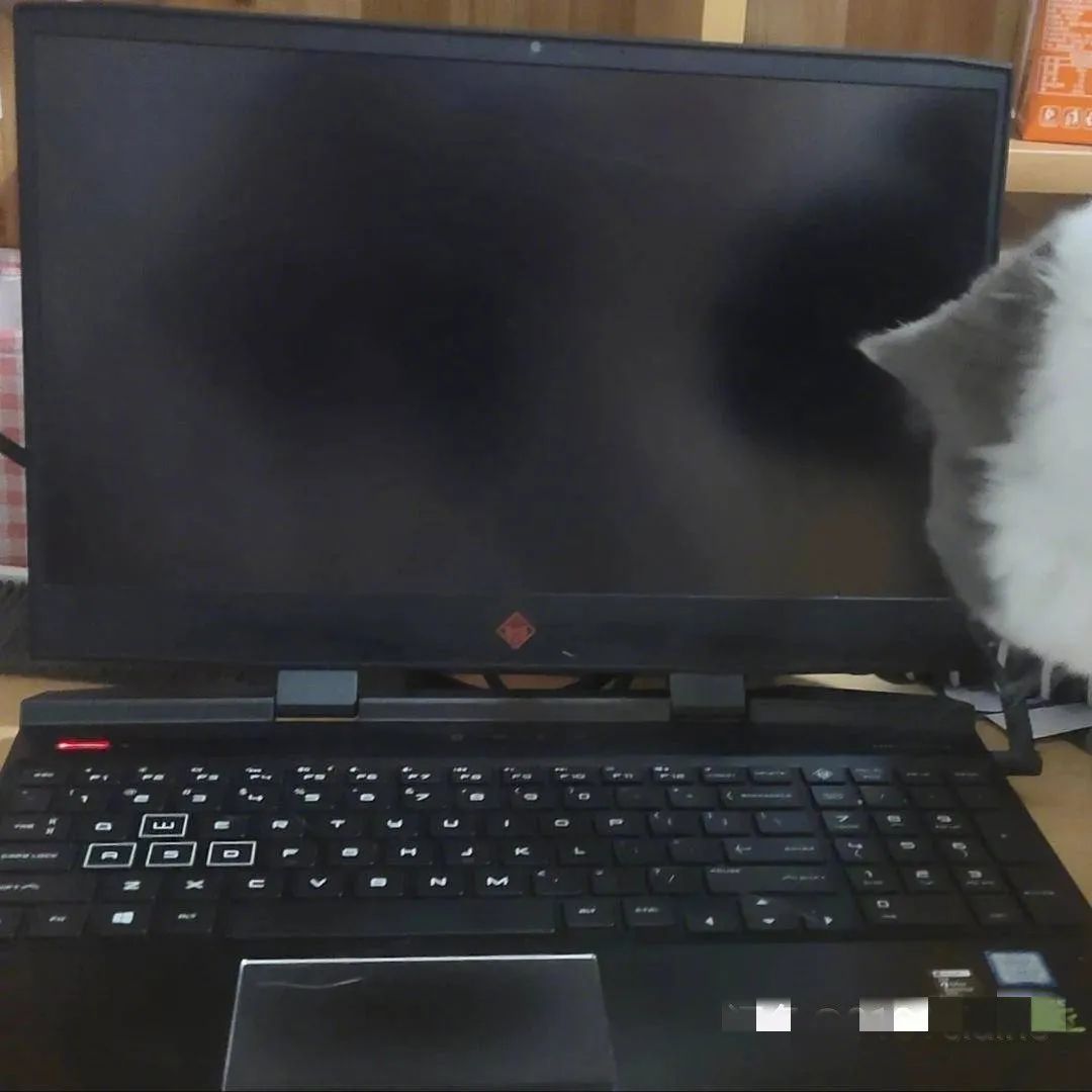 DƬ
